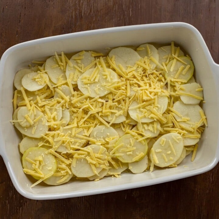 Sprinkling cheddar cheese over a layer of potatoes in a casserole for Irish scalloped potatoes | Irish American Mom Cheese sprinkled over a layer of sliced potatoes in a casserole