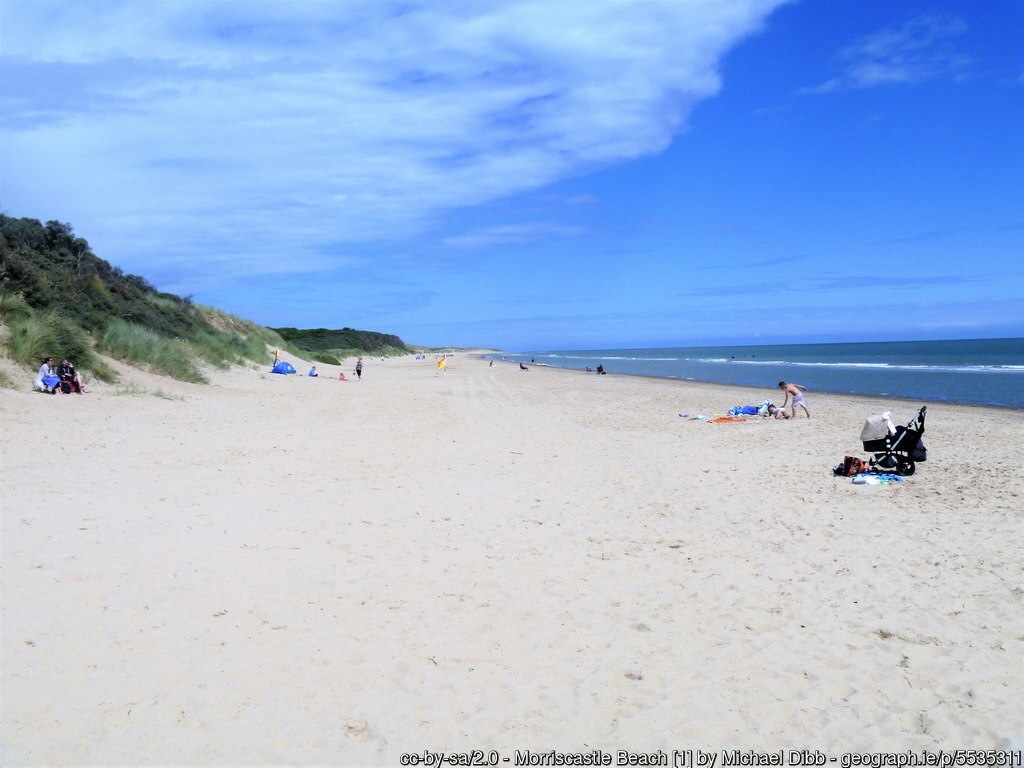 Blue skies over a sandy beach