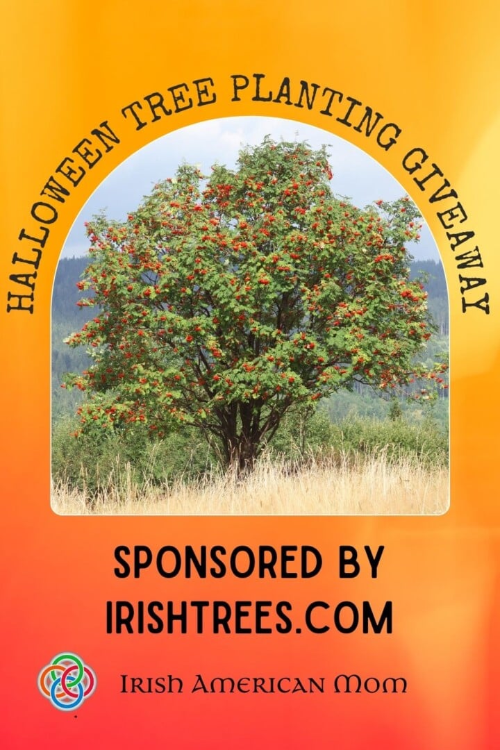 Halloween Tree Planting Giveaway | Irish American Mom Graphic featuring a tree and text overlay