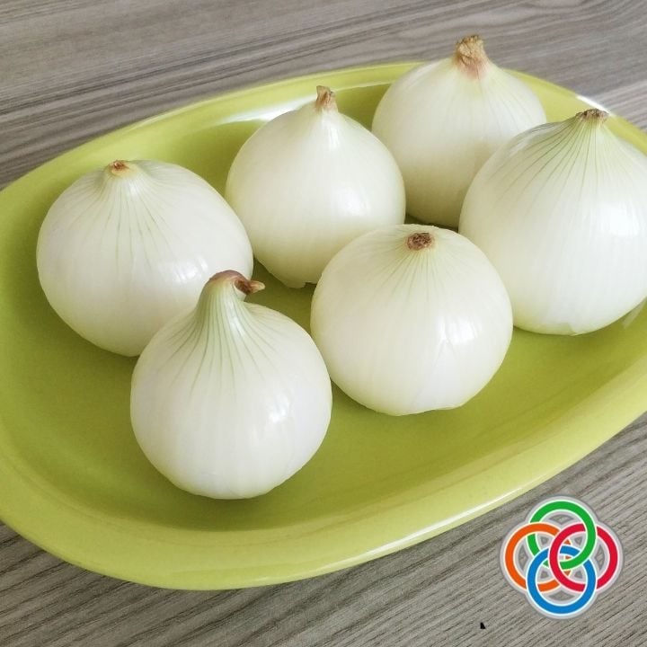 Peeled onions on a plate for Irish style roasted onions in cream | Irish American Mom Peeled onions on a plate