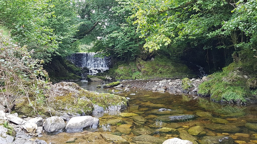 Small waterfall on a river in a forest