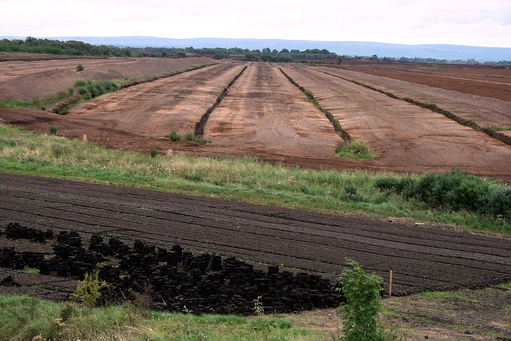 Peat land