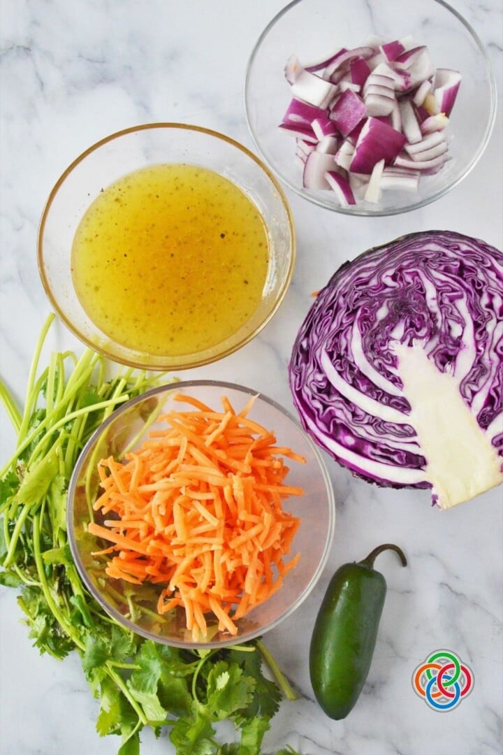 Easy Healthy Red Cabbage Slaw Recipe 2 Ingredients for red cabbage slaw