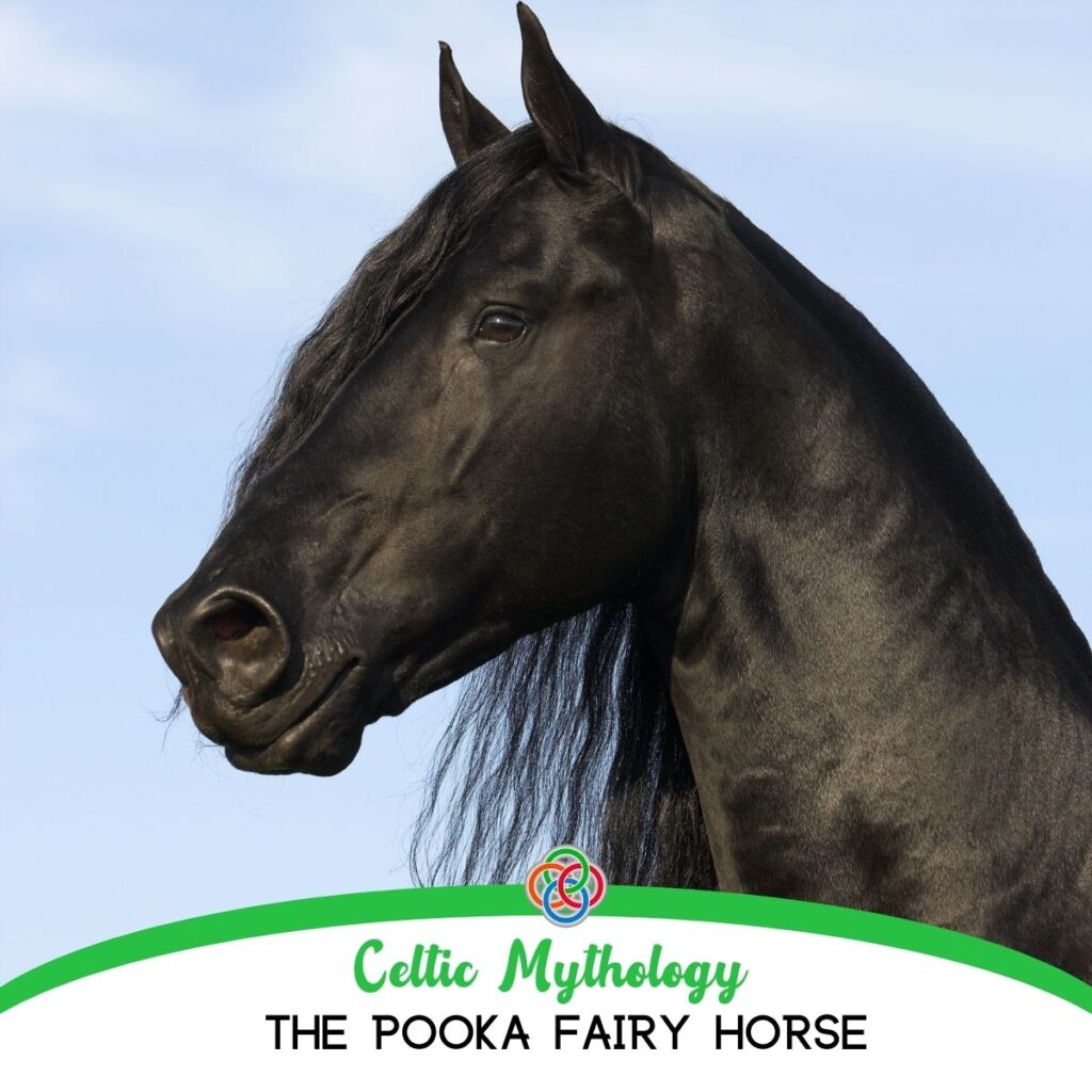 Celtic-Mythology-The-Pooka-Fairy-Horse | Irish American Mom