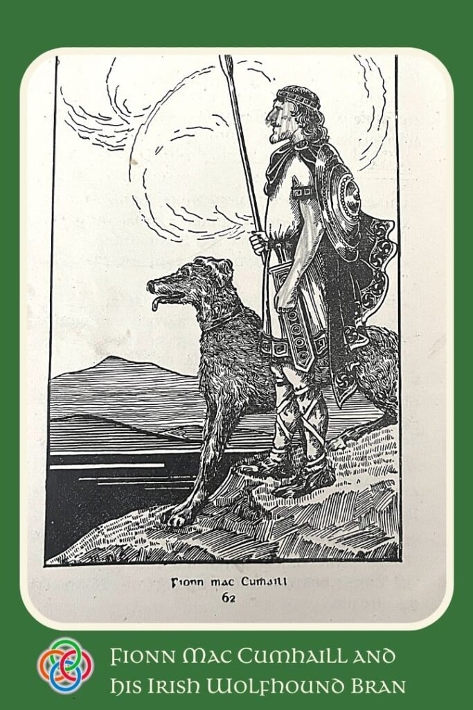 Who Is the Greatest Hero in Irish Mythology? Cú Chulainn vs. Fionn mac Cumhaill – IrishMyths