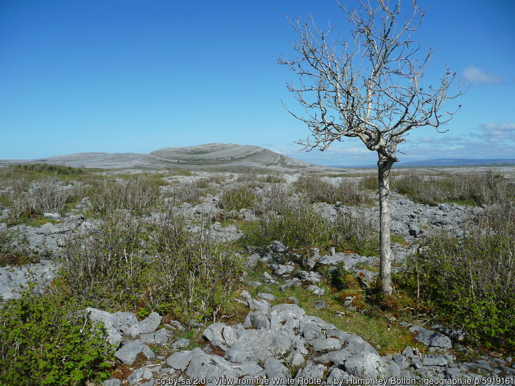 Burren National Park in County Clare Ireland | Irish American Mom Rocky mountain landscape