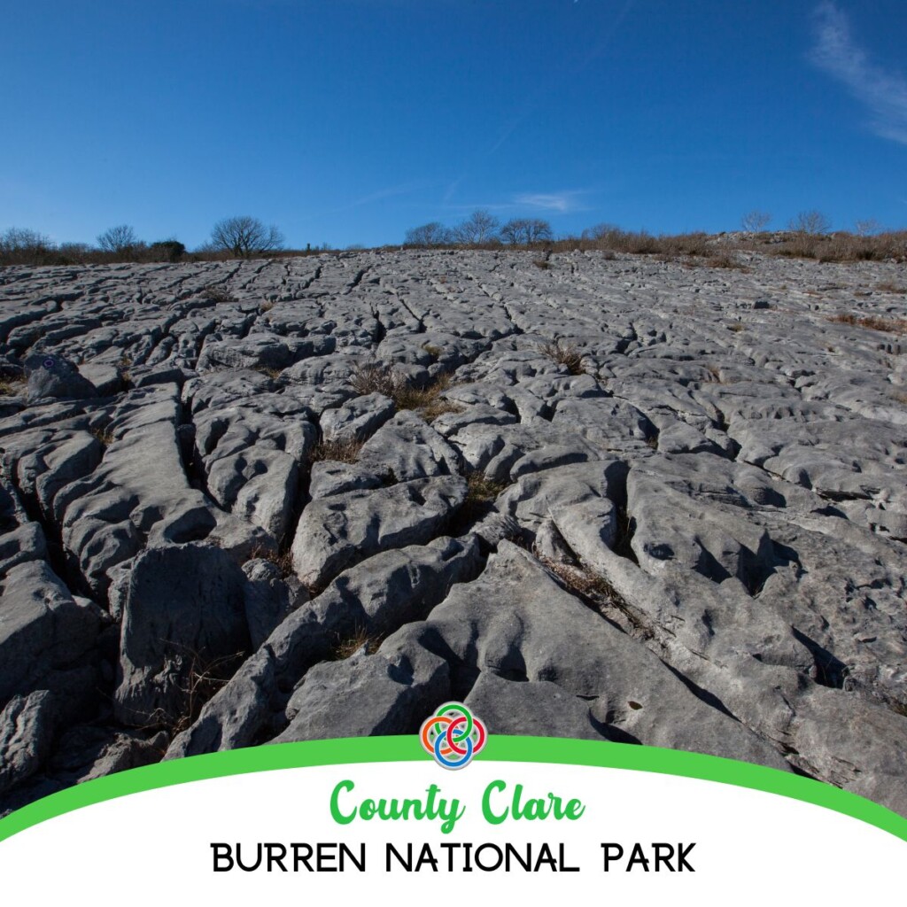 County Clare Burren National Park | Irish American Mom Limestone landscape with text banner