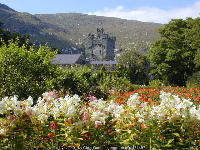 OLYMPUS DIGITAL CAMERA | Irish American Mom Flowers in a castle garden by a mountain