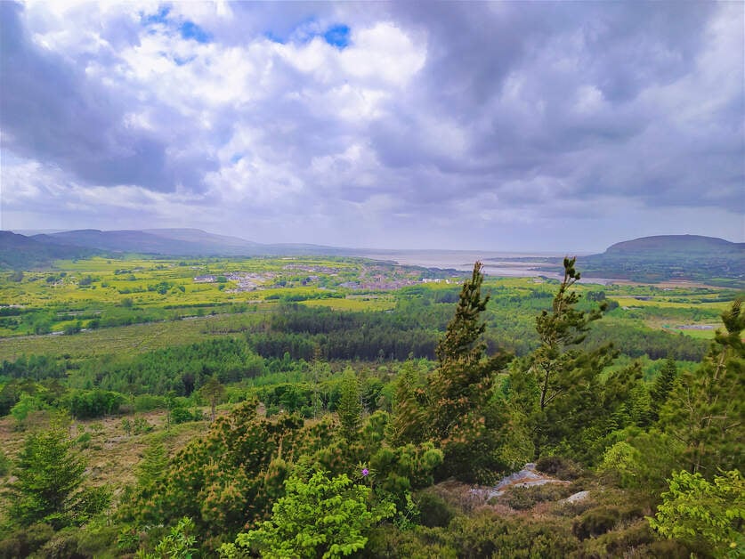 Union Wood, Co Sligo Failte Ireland | Irish American Mom Trees on a mountain side