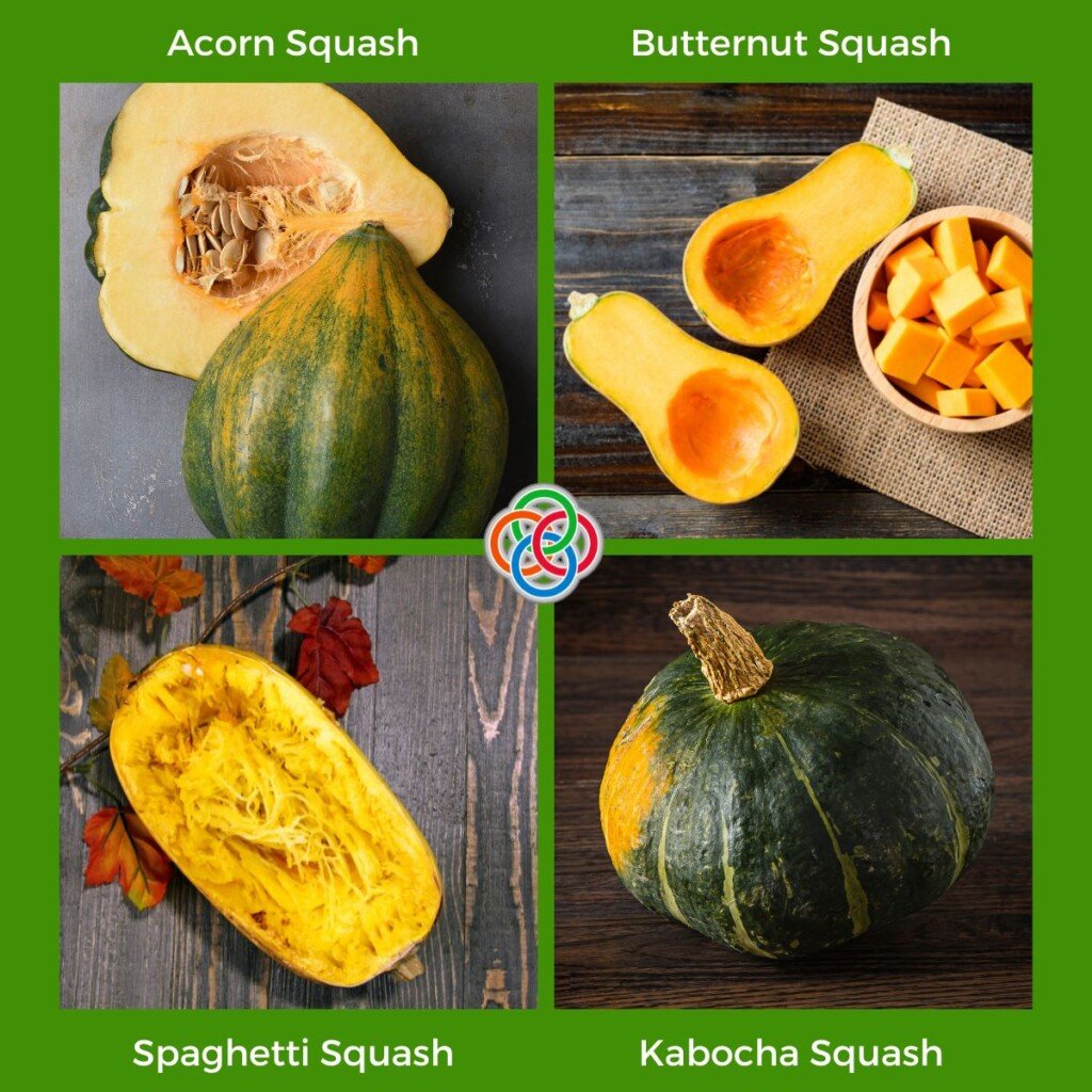 Types of squash | Irish American Mom Collage of squash varieties with text