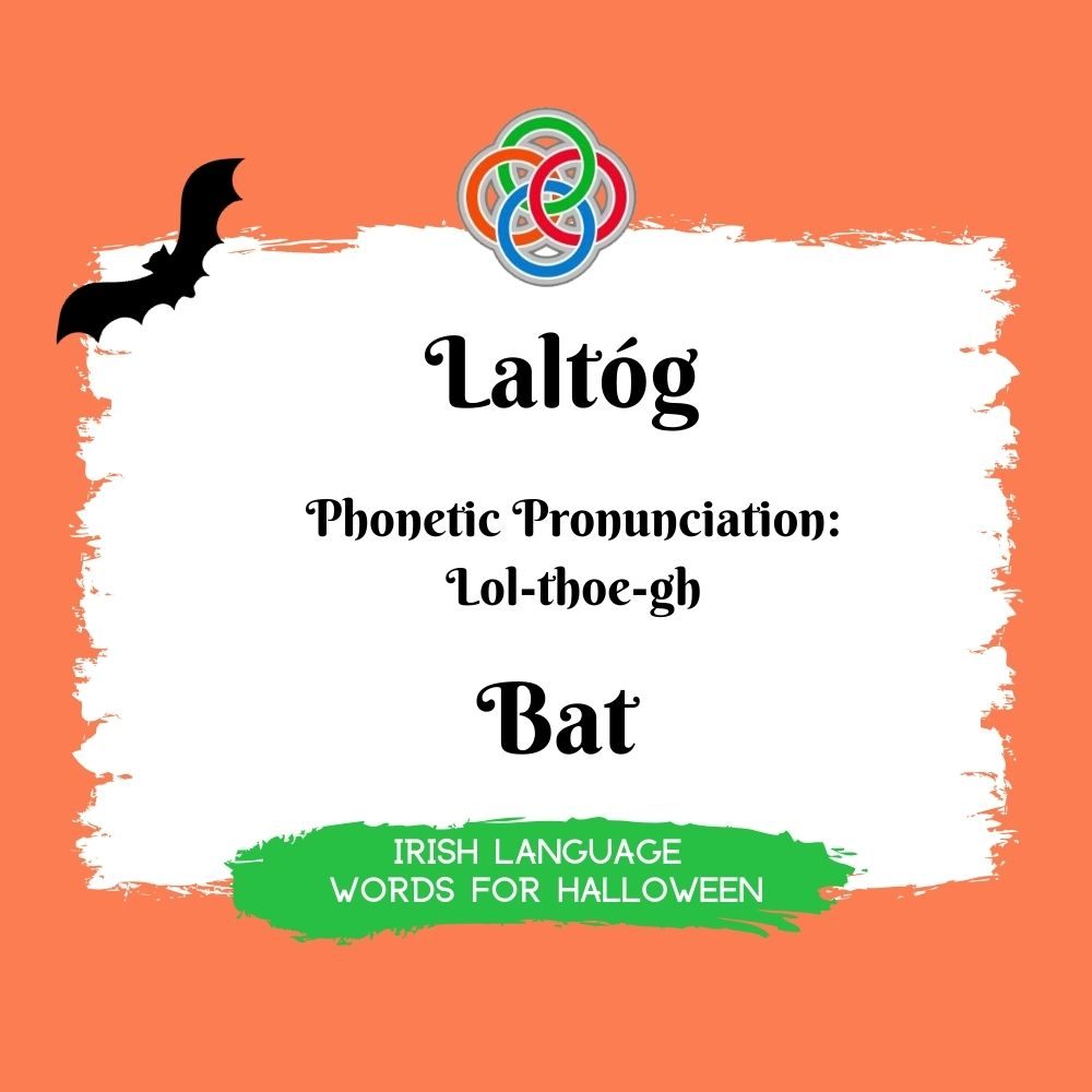 Bat in Irish | Irish American Mom Text graphic with bat