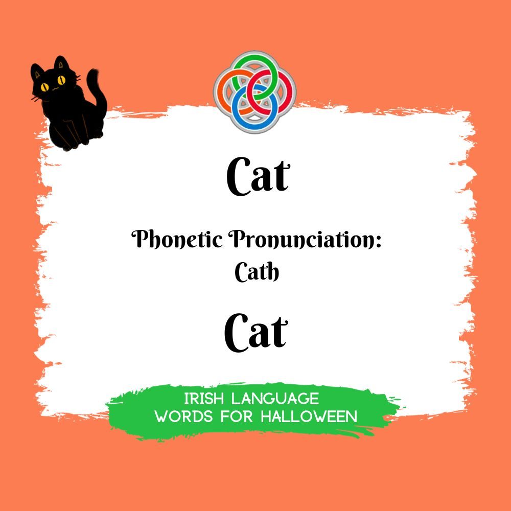 Cat in Irish | Irish American Mom Text graphic with cat