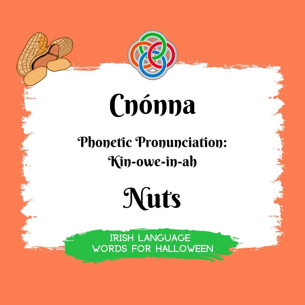 Nuts in Irish Language | Irish American Mom Text graphic with nuts