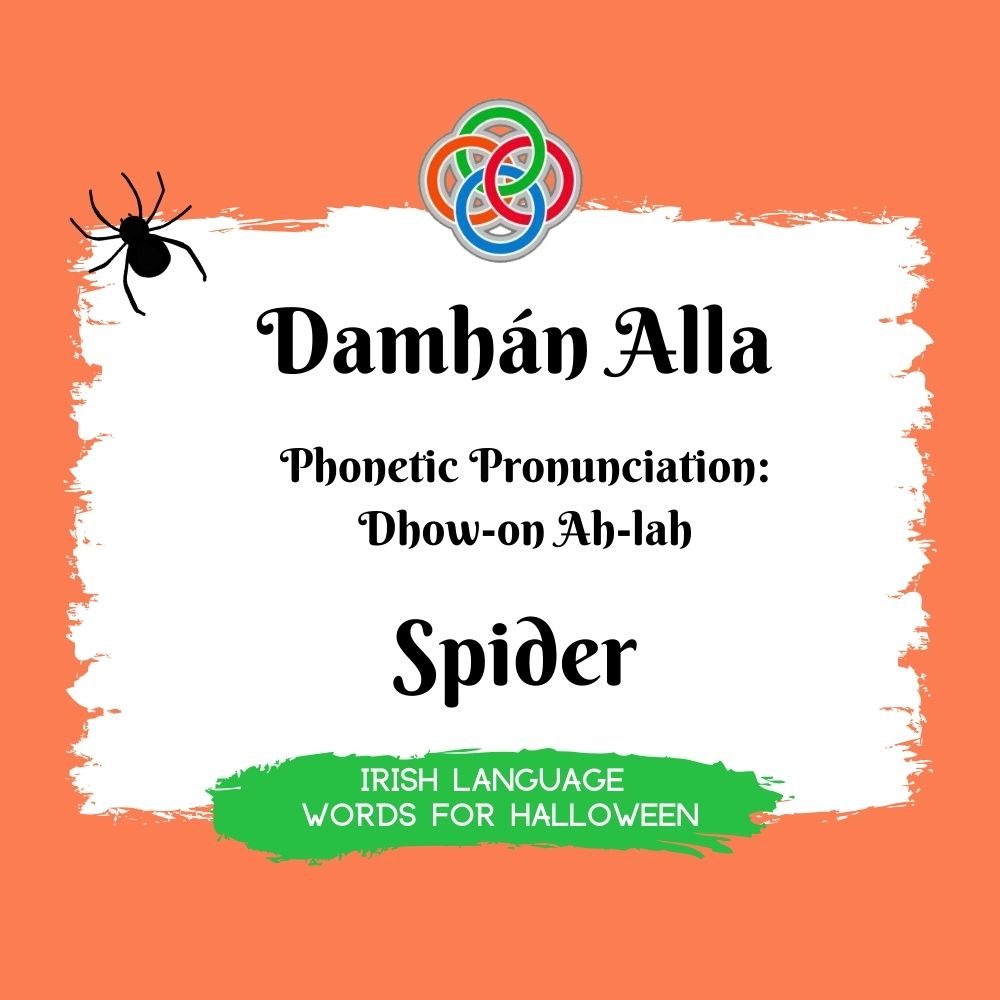 Spider in Irish | Irish American Mom Text graphic with spider