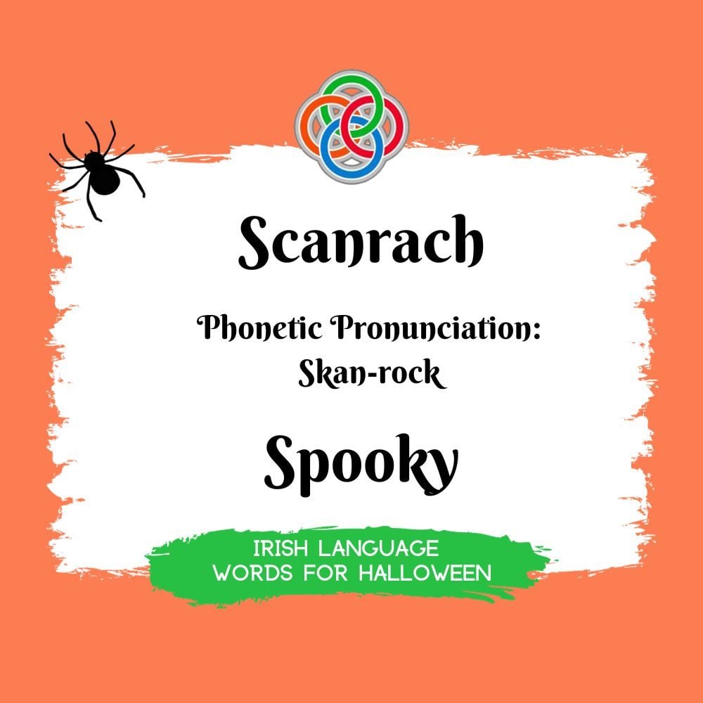 Spooky in Irish | Irish American Mom Text graphic with spider