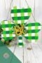 Plaid painted shamrock