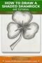 Shaded shamrock art drawing between Celtic styled text banners.