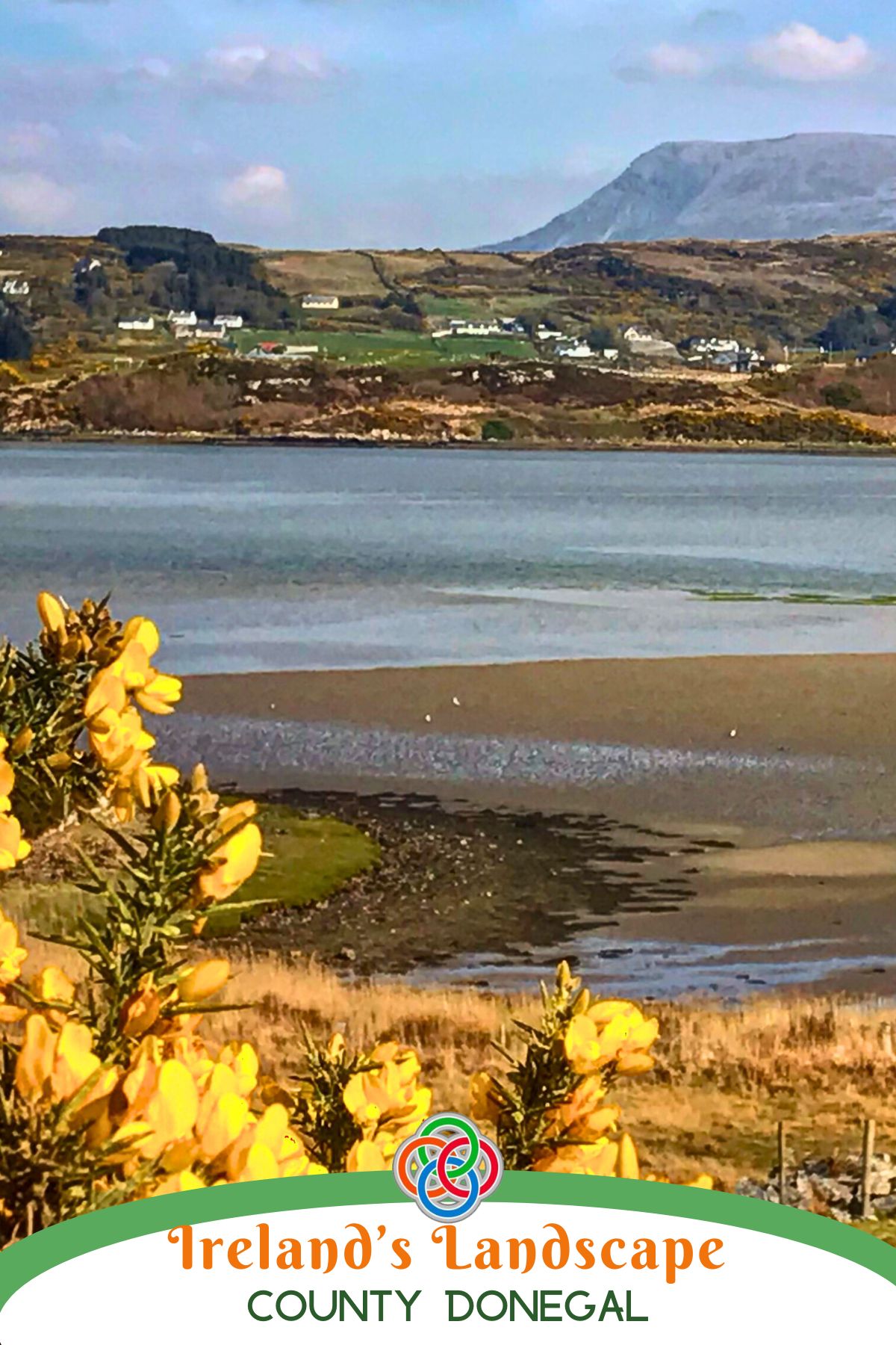 Bright yellow gorse flowers in the foreground overlooking calm coastal waters in County Donegal, Ireland, with sandy shoreline, distant cottages, and mountainous landscape beneath a blue sky.