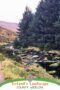 Woodland stream flowing over moss-covered rocks in County Wicklow, Ireland, with evergreen trees, grassy banks, and rolling hills in the background.