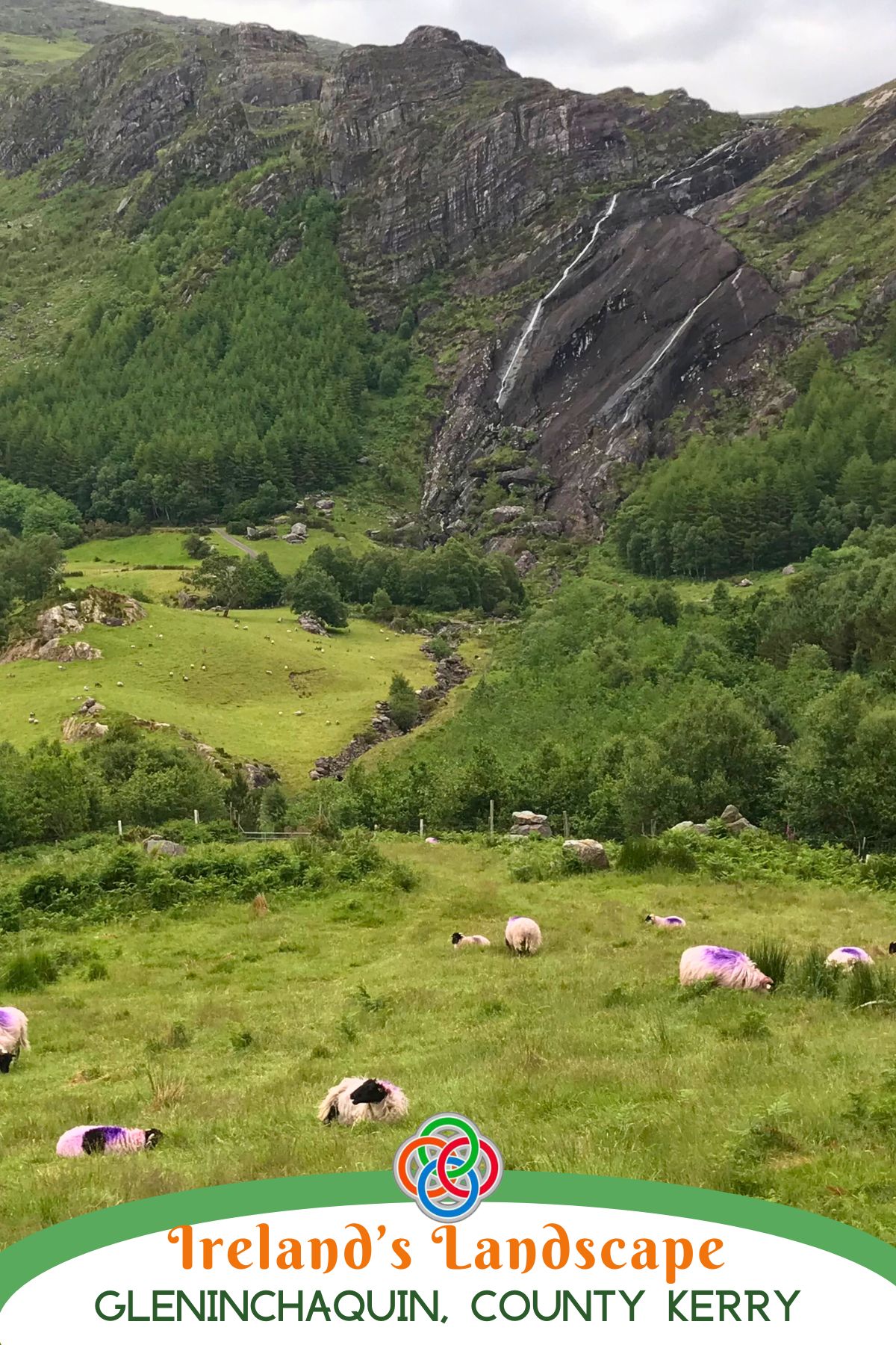 Sheep grazing in a lush green valley at Gleninchaquin in County Kerry, Ireland, with rocky mountains, forested slopes, and a tall narrow waterfall in the background.
