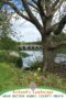 Stone arch bridge over a calm river near Bective Abbey in County Meath, Ireland, framed by a large tree in the foreground with grassy banks and wildflowers along the water’s edge.