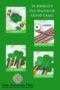 Step-by-step collage showing supplies, cutting rainbow ribbon strips, gluing ribbon and dowel to a glittery shamrock, and attaching the top shamrock to complete a St. Patrick’s Day wand craft with Irish American Mom branding.
