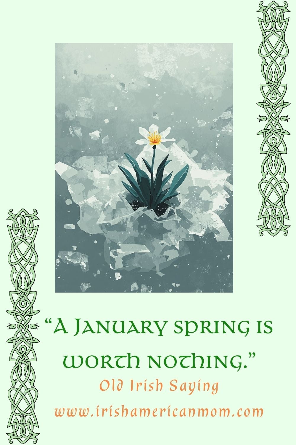 Illustration of a delicate white flower emerging through cracked ice, framed by Celtic knot designs, with the quote “A January spring is worth nothing” labeled as an old Irish saying.