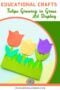 Educational paper tulip craft showing colorful flowers growing in green grass with text Tulips Growing in Grass Art Display.