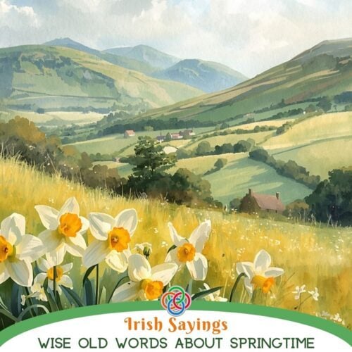Irish Sayings Wise Old Words About Springtime | Irish American Mom Scenic illustration of the Irish countryside with rolling green hills and blooming daffodils in the foreground, featuring the text