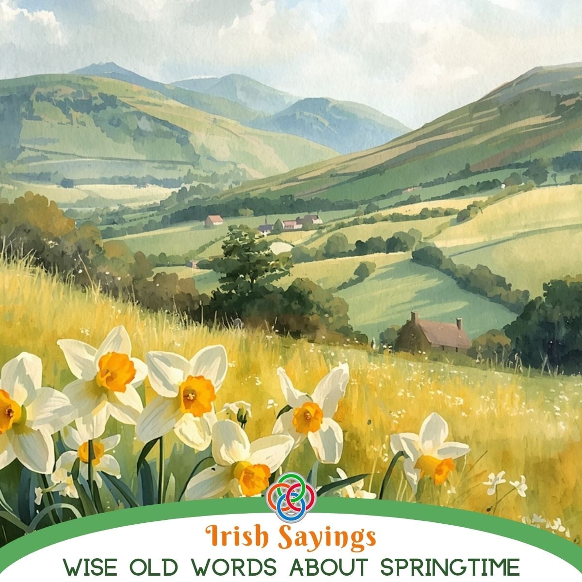 Scenic illustration of the Irish countryside with rolling green hills and blooming daffodils in the foreground, featuring the text “Irish Sayings: Wise Old Words About Springtime” with a Celtic knot design.