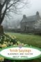 Misty Irish countryside with a stone cottage and blooming daffodils in the foreground, featuring the text “Irish Sayings Blessings and Quotes About Spring.”