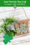 Rustic craft stick sign with a green and white yarn wrapped shamrock, twine hanger, and gingham bow displayed beside a wreath for a Saint Patrick’s Day craft.