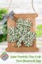 Rustic craft stick sign featuring a green and white yarn wrapped shamrock with a twine hanger and gingham bow for a Saint Patrick’s Day craft decoration.