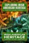 Illustrated scene featuring Celtic knot patterns framing a modern city skyline, with text overlay reading “Exploring Irish American Heritage – Delicious Recipes, Traditions & Stories.”