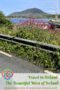 Coastal view in the west of Ireland with pink wildflowers, boats in a harbor, and a mountain in the background, labeled “Travel in Ireland The Beautiful West of Ireland.”