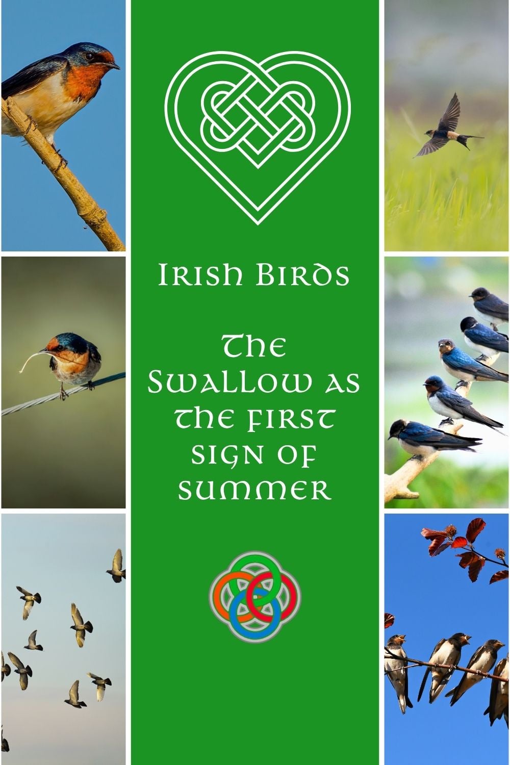 Book cover for 'Irish Birds' with a green central panel featuring a Celtic heart knot, flanked by photos of swallows and other birds.