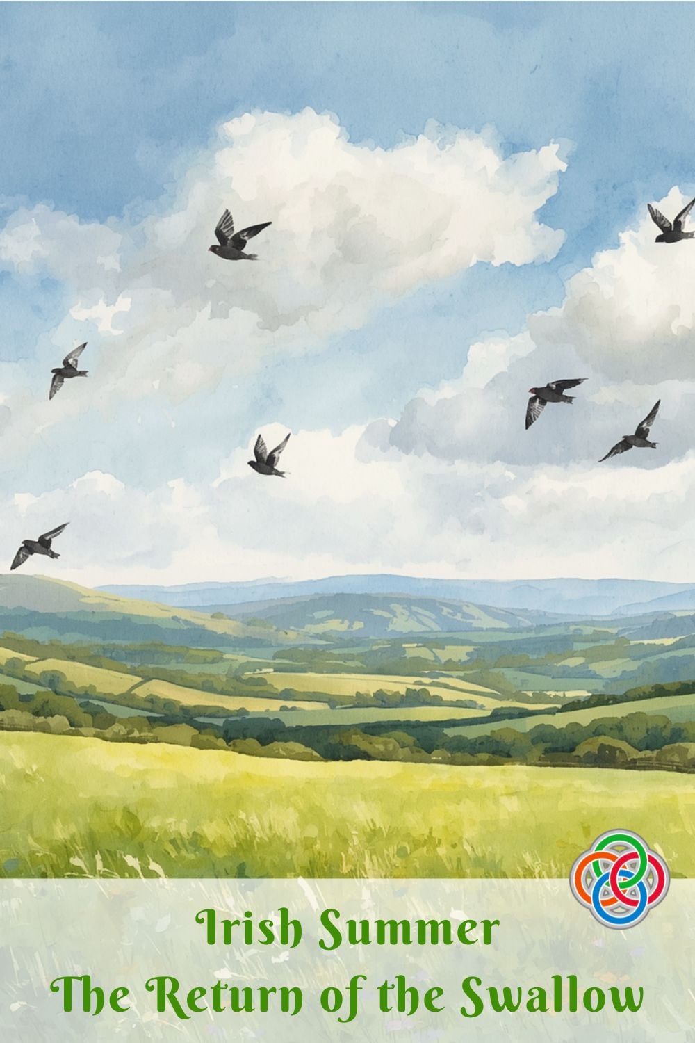 Book cover: rolling green countryside under a blue sky with swallows in flight; title 'Irish Summer: The Return of the Swallow'.