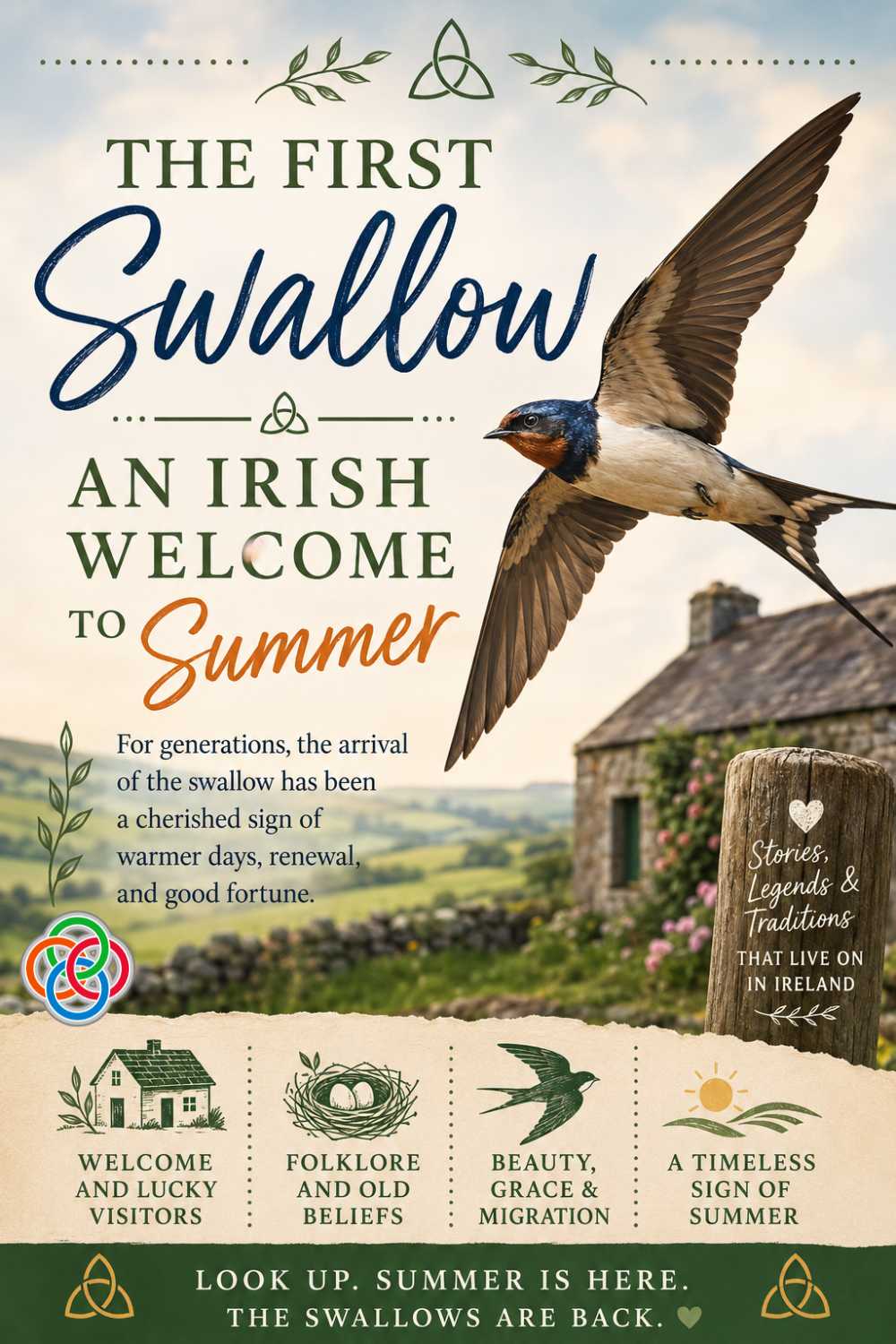 Poster titled 'The First Swallow: An Irish Welcome to Summer' featuring a swallow in flight over a rural Irish scene with a stone cottage in the background.